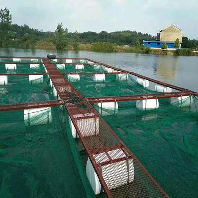 泥鳅黄鳝水产养殖防逃网箱 技术与福利的全方位解析