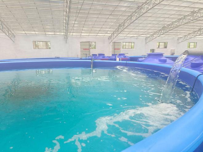 智慧养鱼闯出致富新路 水质改良剂研发的革新与机遇