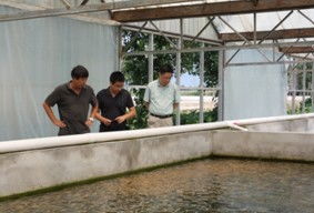 北京水产技术推广站开展循环水养殖试验与水质改良剂研发