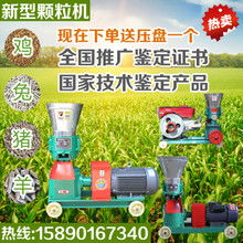 大型饲料粉碎图片在鱼类养殖技术中的重要性